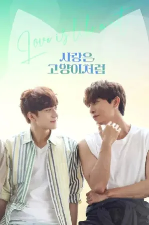 Love Is Like A Cat (Legendado)